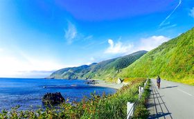 k甪bcR[܂ŁI{BŖkEXւi5I̋LTlC