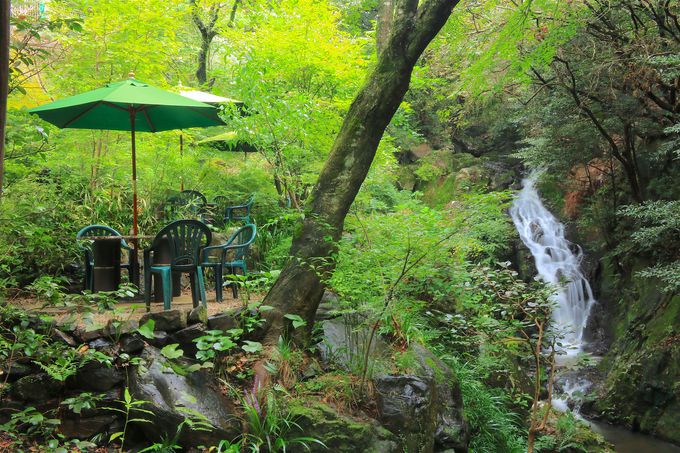 緑に包まれた美しい滝見カフェ「薬膳茶SoybeanFlour at きらら」
