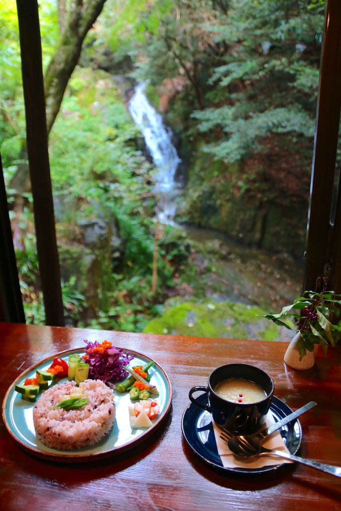 緑に包まれた美しい滝見カフェ「薬膳茶SoybeanFlour at きらら」