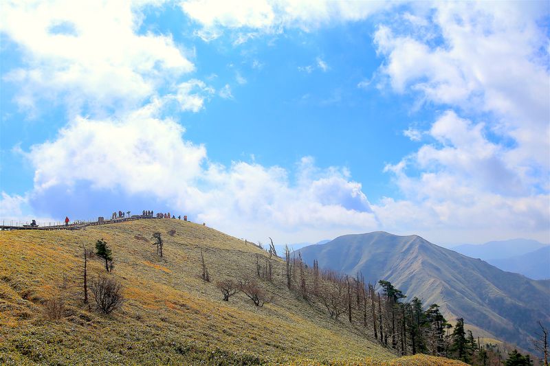 ロープウェイで四国第二の峰へ！徳島県「剣山」ハイキング
