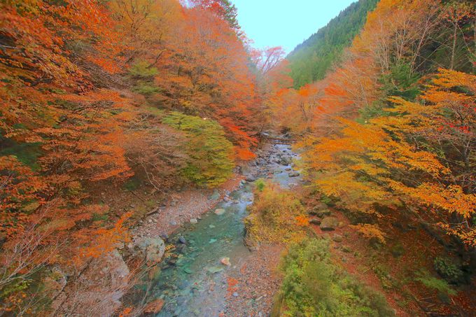 感動的な絶景の連続 徳島県 祖谷渓 周辺の紅葉ベスト５ 徳島県 トラベルjp 旅行ガイド
