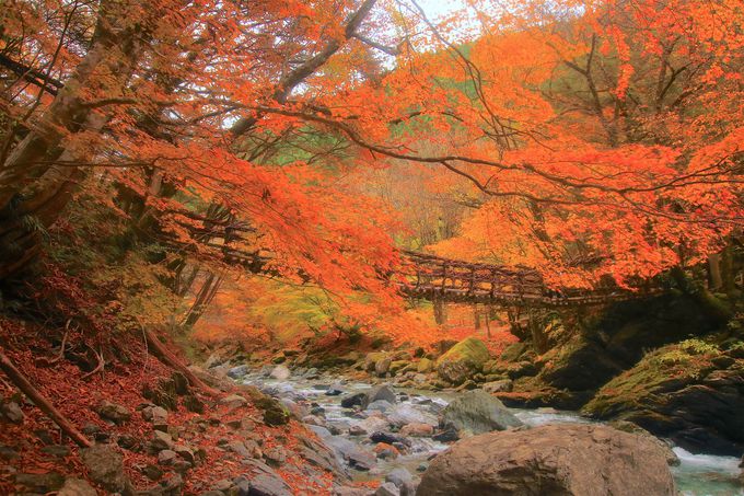 感動的な絶景の連続 徳島県 祖谷渓 周辺の紅葉ベスト５ 徳島県 トラベルjp 旅行ガイド