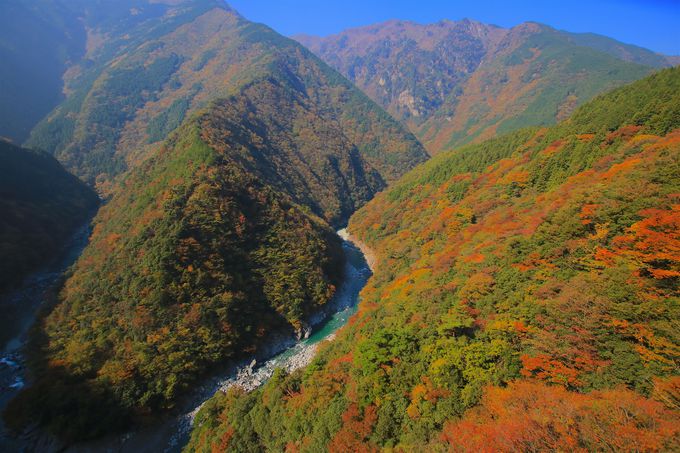 感動的な絶景の連続 徳島県 祖谷渓 周辺の紅葉ベスト５ 徳島県 Lineトラベルjp 旅行ガイド