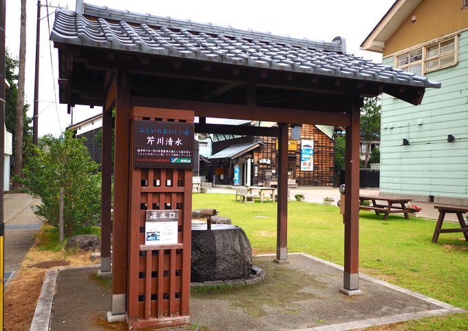 ̎鏊INu̓sv̌i