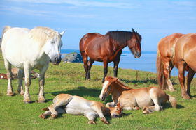 nƐi҂IkuKv͐Xw̖X|bg̋LTlC