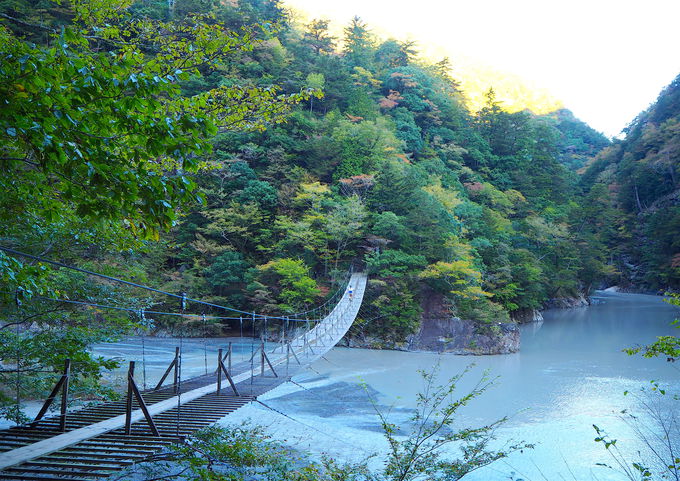 ÉɂȔ鋫!?AvXɕkJnсuINVYv