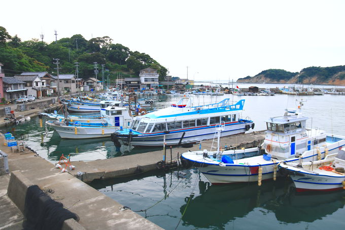 �ǂ����k�C���炵����!?���u���X�J�C���C�����T�C�N�����O