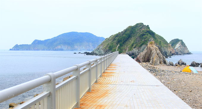 �u���[�����C�t�B�[���h�I�u���u���v�̓�̐�i�X�|�b�g