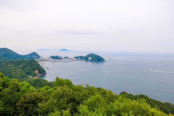 �u���[�����C�t�B�[���h�I�u���u���v�̓�̐�i�X�|�b�g