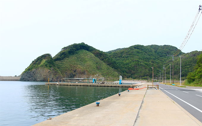 �ǂ����k�C���炵����!?���u���X�J�C���C�����T�C�N�����O