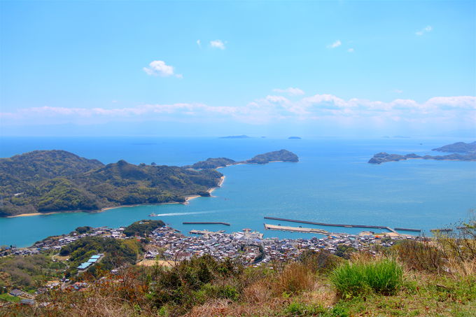 愛媛県の各自治体でも独自の観光支援策を実施(3)