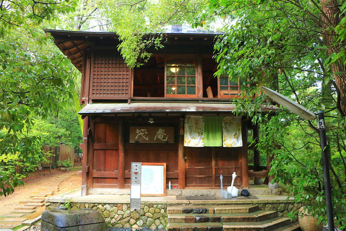 s炵䂩IgcR̃JtFuΈv