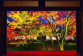 i뉀Ǝʐ^A[g̃R{Is܂邲ƔpفuSv̋LTlC