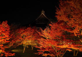 su܂邲Ɣpفv2019Ii̒뉀CgAbv𖡂킨̋LTlC