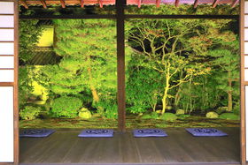 mꂴ鋞s̖I܂邲Ɣp2019u{@vʔqς̋LTlC