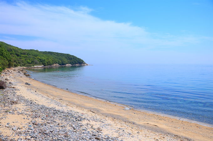 CɖāI"ƃu[PB"Œiu&`[YP[Lv