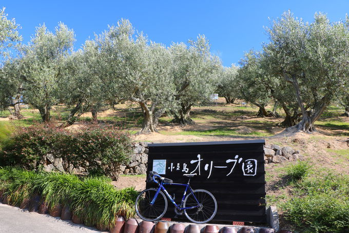 uI[u\tgvЎɓ{̃G[QC\I