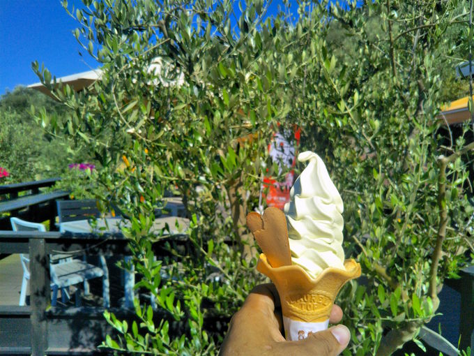 uI[u\tgvЎɓ{̃G[QC\I