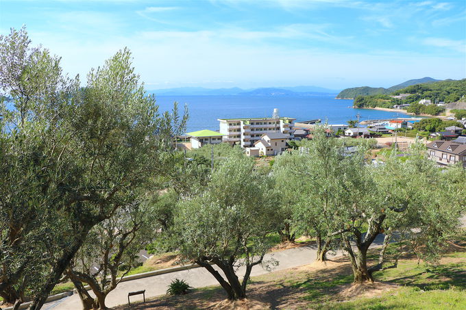 uI[u\tgvЎɓ{̃G[QC\I