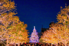 bK[fvCX̃C~l[VIuoJG^[iCc2019v͕K̋LTlC