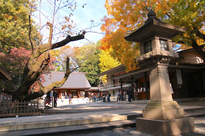 よりそひ守をゲット 東京 乃木神社 は夫婦円満パワースポット 東京都 トラベルjp 旅行ガイド