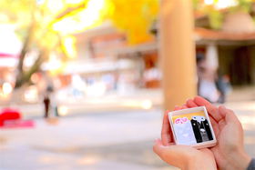 肻ЎQbgIuTؐ_Ёv͕vw~p[X|bg̋LTlC