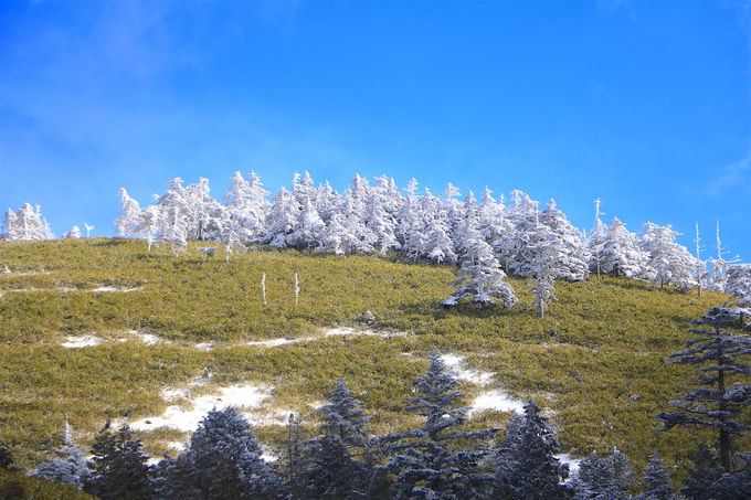 �_�⏬�����z���āI�u�x�m���䍂���v���␢�E�����\