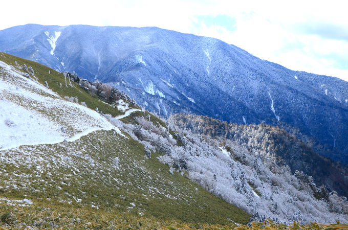 �_�⏬�����z���āI�u�x�m���䍂���v���␢�E�����\