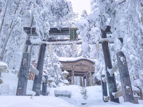 suRv̓~Ȋtn̐E̋LTlC