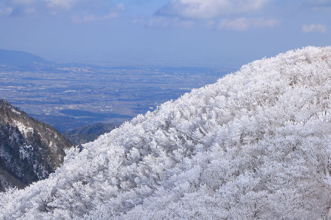 雪山の特権！「望湖台」から見る樹氷の稜線が絶景