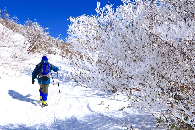 冬の「御在所岳」で美しすぎる雪山の世界を味わおう！