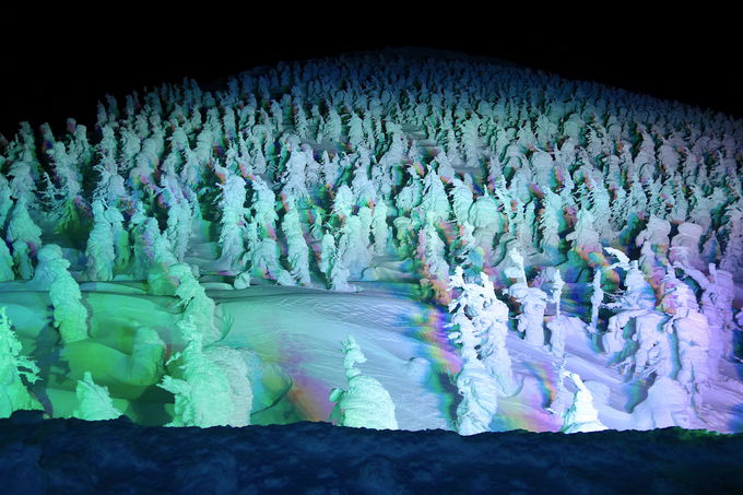 まるで異世界!?地蔵山頂駅の幻想的な「樹氷ライトアップ」