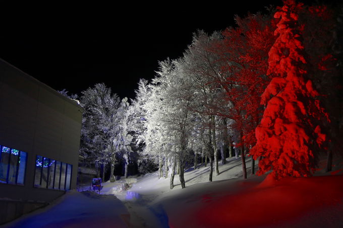 蔵王の樹氷のもう一つの楽しみ方！「樹氷ライトアップ」を見に行こう