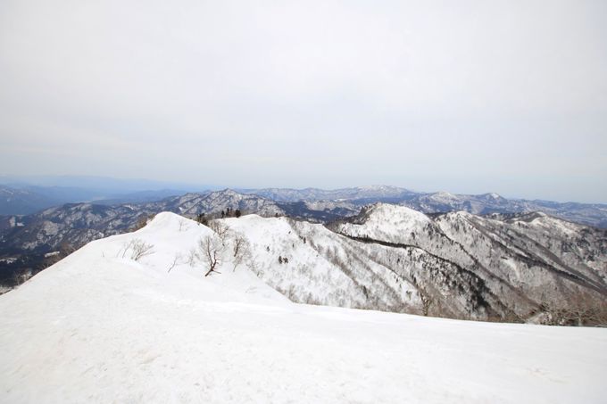 余力があれば楽しみたい！関西屈指の雪稜歩きが絶景