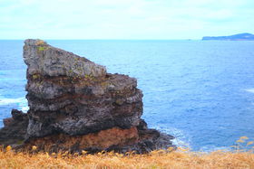 ΂ރSI̓uv̊ʔ̋LTlC