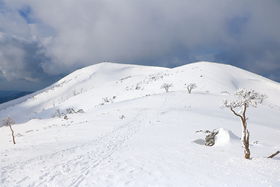 �R��ɍL�����ጴ�I����u���R�v�̐�R���E�����|�I�̋L���T���l�C��