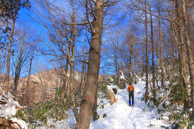 「猪臥山」登山は"猪臥山トンネル"から！緩い林道歩きが特徴