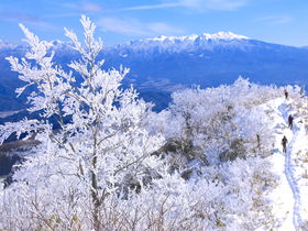 山頂は360度の絶景！飛騨高山・冬の「猪臥山」は美しすぎる霧氷の山
