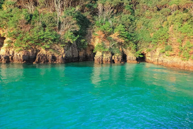 C̐FςHuC̋{av_̃GhO[