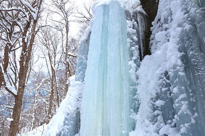 名もなき「氷柱」が絶景！冬の奥入瀬が作り上げる芸術作品