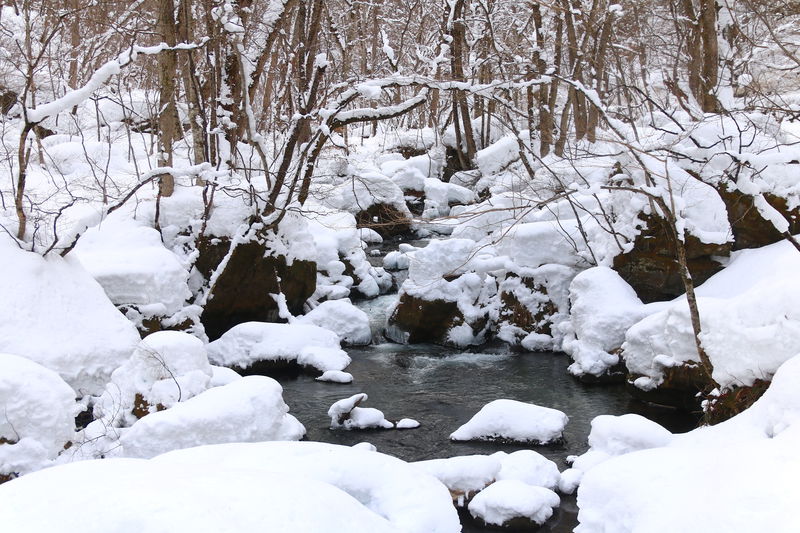 閉ざされる景勝地・冬の「奥入瀬渓流」を訪れる