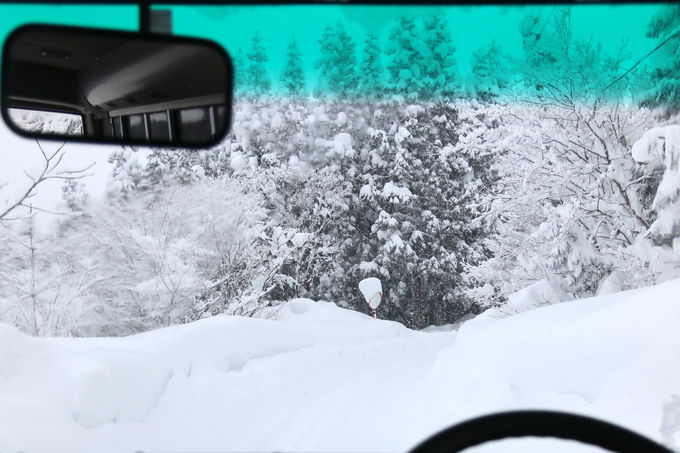 �씪�b�c�R�[�ɘȂށI�铒�u�׉���v�͓~���I�X�X��