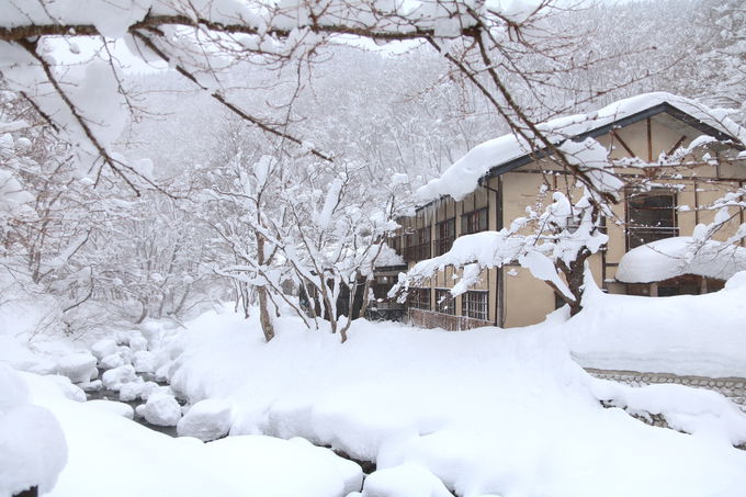 ��R�̉��Ɉꌬ�̏h�I�铒�炵�����Y���Ȃ܂�