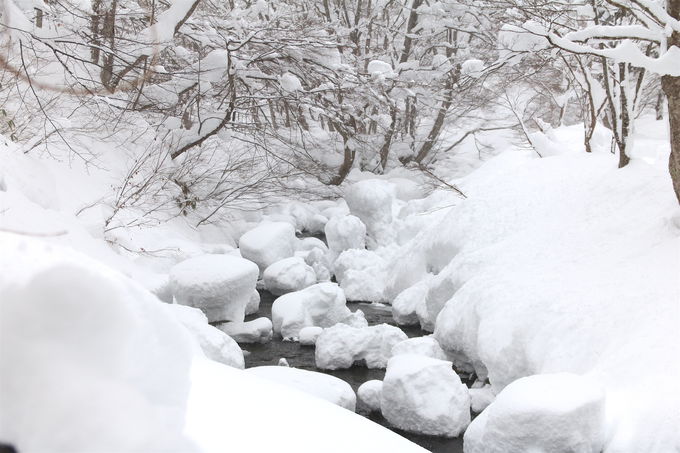 ���b�c�R�E�\�a�c�Ύ��ӂ͖����̕�ɁI���򉤍��u�X���v