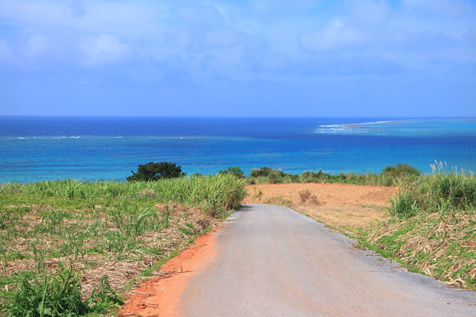 沖縄らしさ全開！「アーラ浜までの道」で見る瞬間の絶景