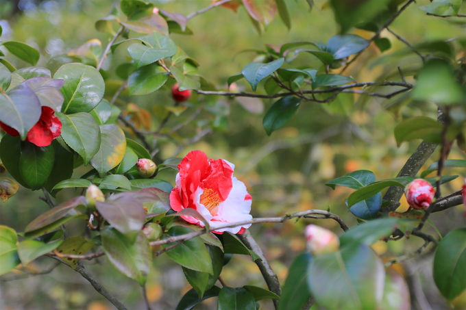 �H��ɂ́A�S�����u���ԓ��뉀�v�ŎU����y�������I