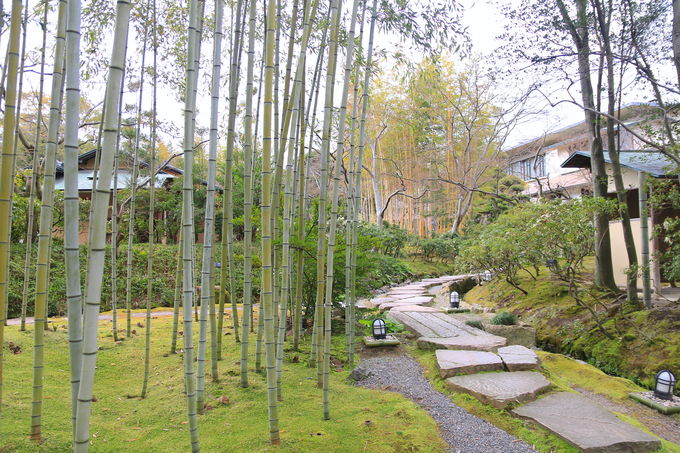 �H��ɂ́A�S�����u���ԓ��뉀�v�ŎU����y�������I