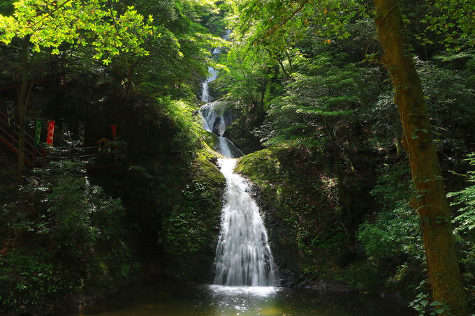 渓流 森林浴に青紅葉も 愛知で初夏に行きたい緑の絶景5選 愛知県 トラベルjp 旅行ガイド