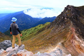 鋫E㍂nnIuĊxv֖kAvXoR̋LTlC