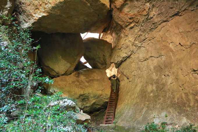 jSIuʓVEʓVvŊ厩R̐_